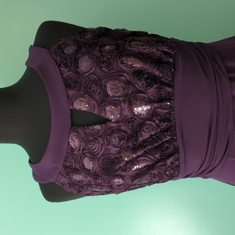 Enfocus Studio Purple Dress #KL